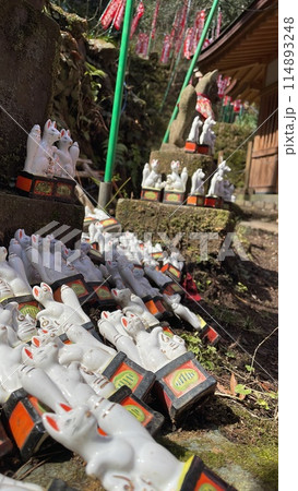 佐助稲荷神社 佐助稲荷神社 114893248