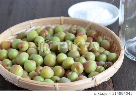 小梅 初夏 梅仕事 小梅 初夏 梅仕事 114894043