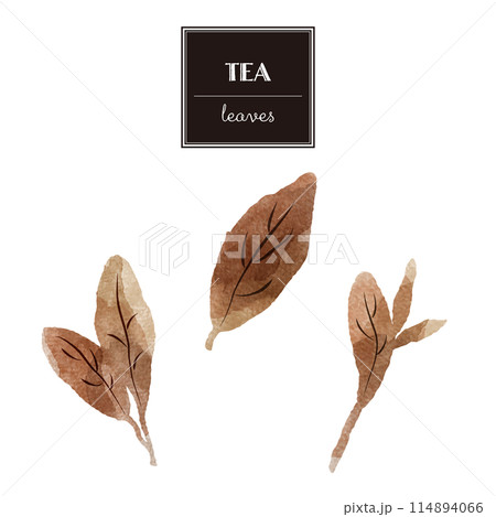 シンプルな茶色の葉っぱの水彩イラストセット(紅茶、烏龍茶、黒茶など) シンプルな茶色の葉っぱの水彩イラストセット(紅茶、烏龍茶、黒茶など) 114894066