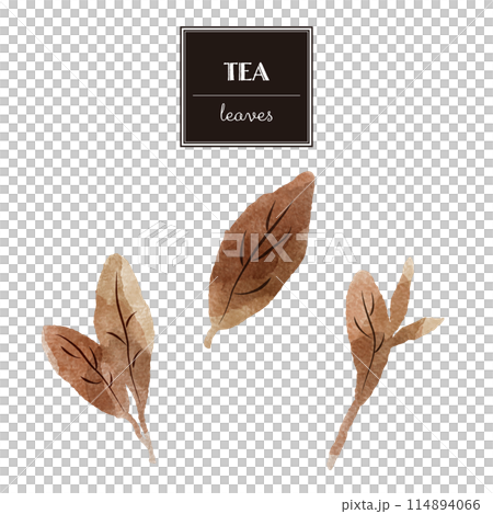 シンプルな茶色の葉っぱの水彩イラストセット(紅茶、烏龍茶、黒茶など) シンプルな茶色の葉っぱの水彩イラストセット(紅茶、烏龍茶、黒茶など) 114894066
