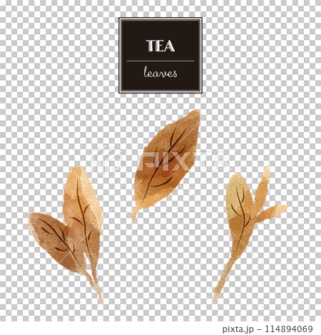 簡單的棕葉水彩插畫集(紅茶、烏龍茶、紅茶等) 簡單的棕葉水彩插畫集(紅茶、烏龍茶、紅茶等) 114894069
