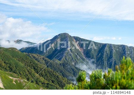 蝶ヶ岳から常念岳の眺望 蝶ヶ岳から常念岳の眺望 114894148