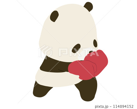 ボクシングをするパンダ 114894152