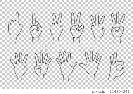 Vector illustration set of various hands Vector illustration set of various hands 114894241