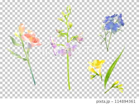 Watercolor spring flowers set 114894361
