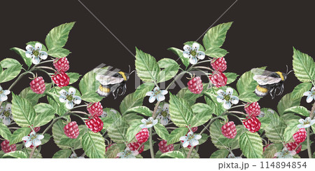 Seamless border on a colored background of flowers, leaves, raspberries watercolor illustration on a white background. Hand-drawn raspberry flowers and leaves for cookbooks, dessert recipes . Seamless border on a colored background of flowers, leaves, raspberries watercolor illustration on a white background. Hand-drawn raspberry flowers and leaves for cookbooks, dessert recipes . 114894854