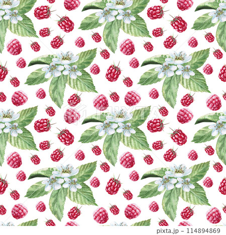 Pattern of raspberries, leaves and green leaves, bee, in watercolor illustration on a white background. Hand drawn pattern for printing on fabric, gift wrapping, desserts, perfumes. 114894869