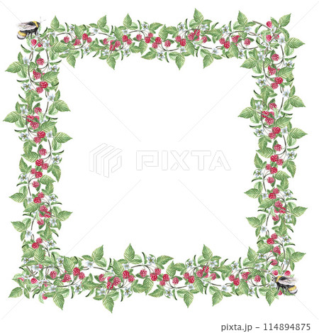Square frame of raspberry branches, with a jar of jam, a bee, berries and flowers in a watercolor illustration on a white background. Hand drawn wreath for cookbooks, invitations, cards 114894875