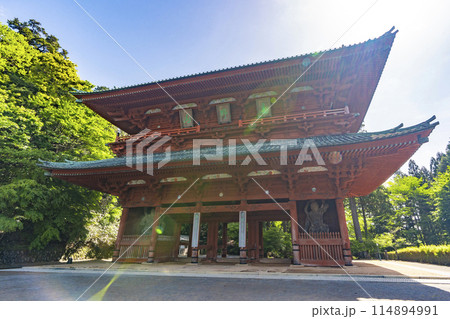 高野山　青紅葉と大門 114894991