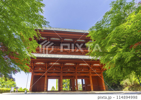 高野山 青紅葉と大門 高野山 青紅葉と大門 114894998