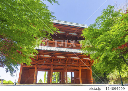 高野山 青紅葉と大門 高野山 青紅葉と大門 114894999