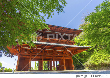 高野山　青紅葉と大門 114895002