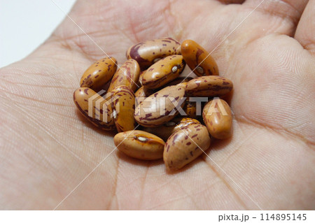 A picture of red kidney beans with selective focus A picture of red kidney beans with selective focus 114895145