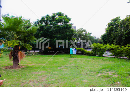 A picture of green garden A picture of green garden 114895169
