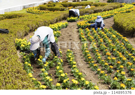 国営みちのく杜の湖畔公園 釜房湖 宮城県 国営みちのく杜の湖畔公園 釜房湖 宮城県 114895376