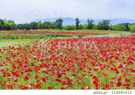国営みちのく杜の湖畔公園　釜房湖　宮城県 114895413