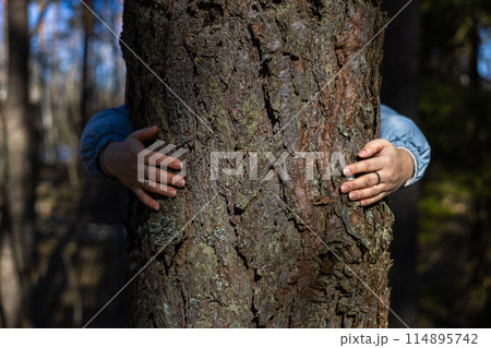 Hands hug a large tree in the forest, saving and protecting it. Caring for the conservation of forests and saving the planet. Hands hug the trunk of a large pine tree in the forest. 114895742