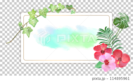 夏季植物和白板背景插畫素材水彩、向量框架橫幅模板白色背景 夏季植物和白板背景插畫素材水彩、向量框架橫幅模板白色背景 114895961