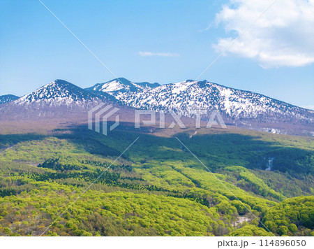 春の八甲田山(青森県) 春の八甲田山(青森県) 114896050