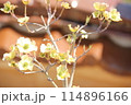 庭木の白い花 114896166