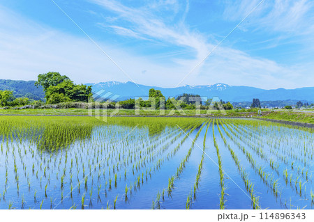 蔵王連峰と水田 蔵王連峰と水田 114896343