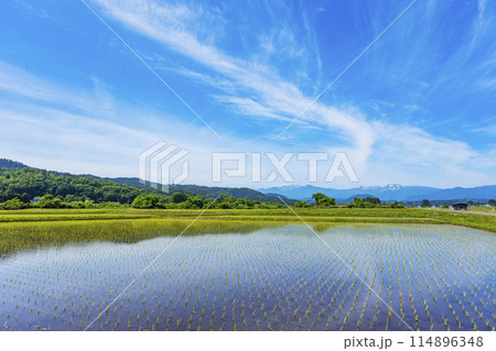 蔵王連峰と水田 蔵王連峰と水田 114896348