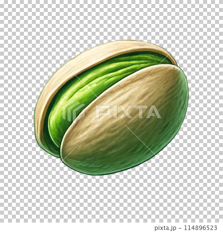 リアルなピスタチオのイラスト 114896523