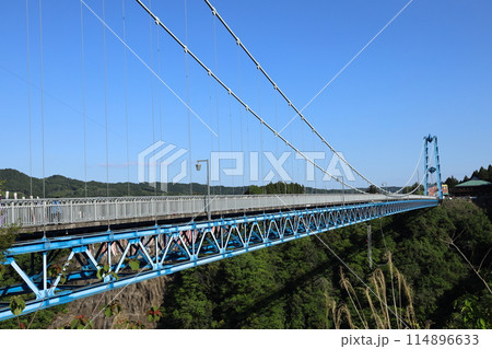 竜神大吊橋と鯉のぼり 竜神大吊橋と鯉のぼり 114896633