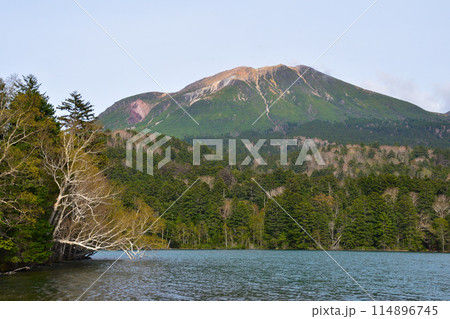 春　オンネトー　雌阿寒岳 114896745