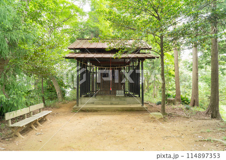 飯縄神社(津久井城山) 飯縄神社(津久井城山) 114897353