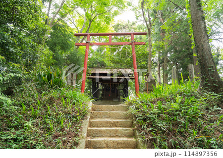 飯縄神社（津久井城山） 114897356