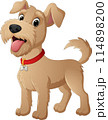 Cartoon funny lake land terrier dog 114898200