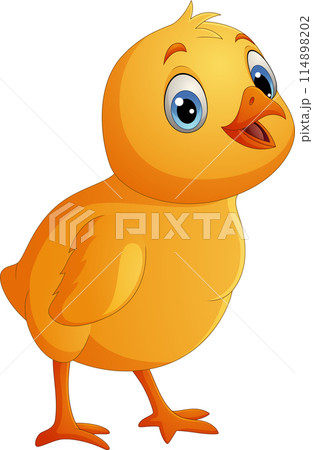 Cartoon little chick isolated on white background 114898202