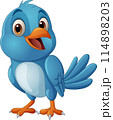 Cartoon happy blue bird standing against white background 114898203