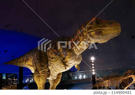 福井の福井県立恐竜博物館の恐竜展示 114900481