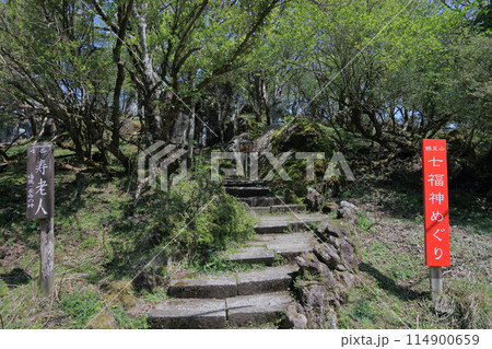 鶴見岳山上、七福神めぐり札所4番「寿老人」 114900659