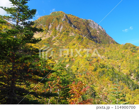 八ヶ岳・文三郎尾根から望む秋の阿弥陀岳 八ヶ岳・文三郎尾根から望む秋の阿弥陀岳 114900700