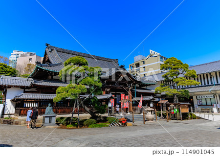 東京 港区高輪 泉岳寺(赤穂義士四十七士が眠る寺) 東京 港区高輪 泉岳寺(赤穂義士四十七士が眠る寺) 114901045