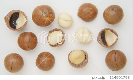 殻つきマカダミアナッツ 114901798