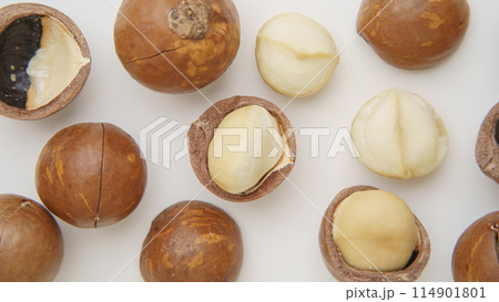 殻つきマカダミアナッツ 114901801