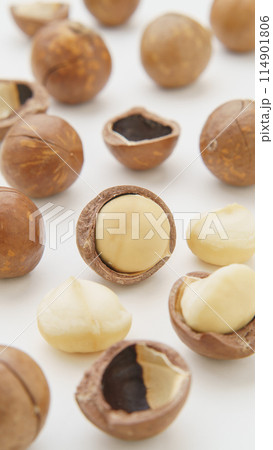 殻つきマカダミアナッツ 殻つきマカダミアナッツ 114901806