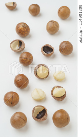 殻つきマカダミアナッツ 114901809