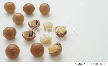 殻つきマカダミアナッツ 114901824
