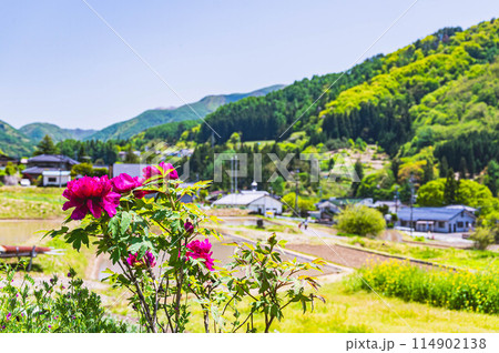 ぼたん咲く春の山村風景 114902138