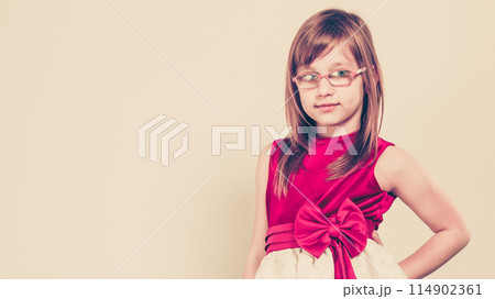 Girl in beauty princess dress 114902361