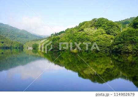 豊稔池堰堤（豊稔池ダム・香川県） 114902679