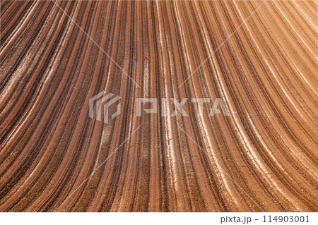 チョコレート色した畑の模様のテクスチャ チョコレート色した畑の模様のテクスチャ 114903001