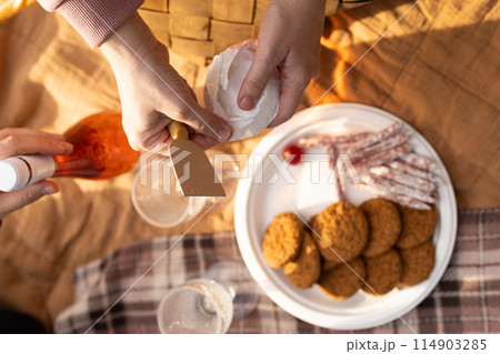 picnic in nature, slicing brie cheese, top view 114903285