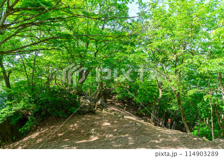 埼玉奥武蔵・伊豆ヶ岳山頂の風景 114903289