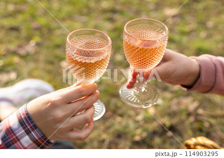 two female hands, glasses with rose wine, picnic outdoors two female hands, glasses with rose wine, picnic outdoors 114903295